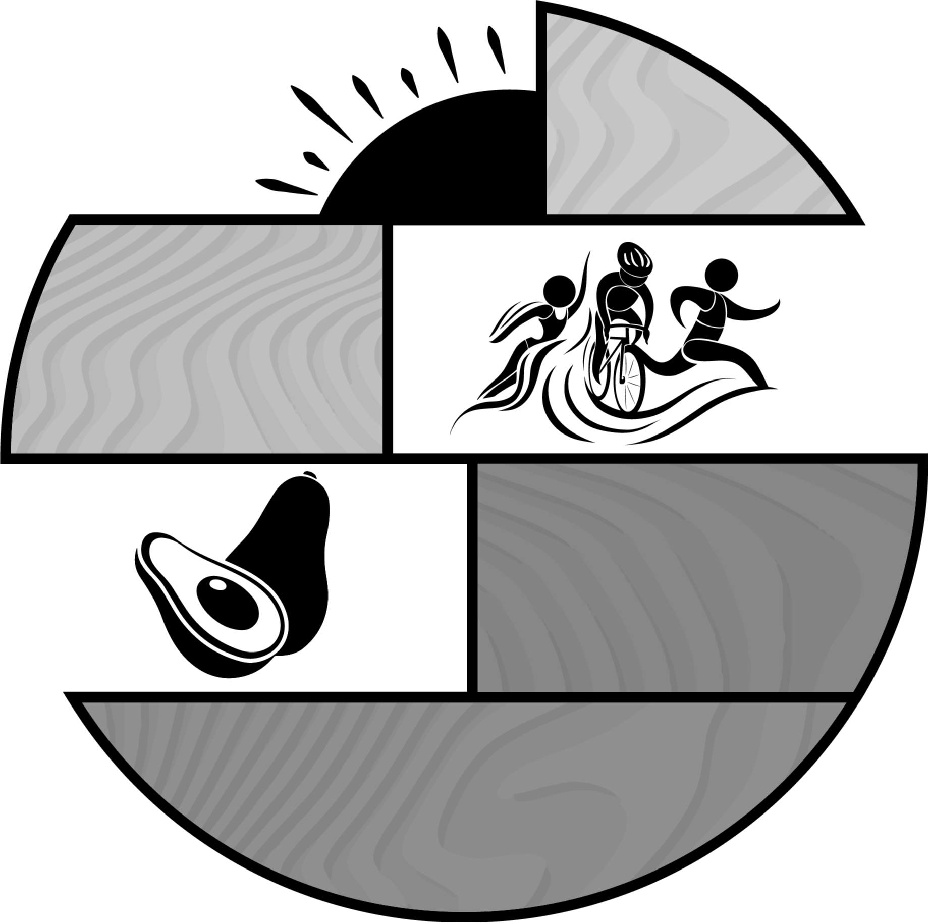 fit-phase-logo